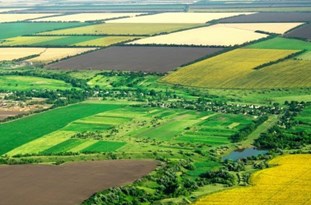 خرد بودن اراضی؛ چالش اصلی کشاورزی لرستان