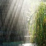 بارش۳۰ میلیمتری باران در لرستان