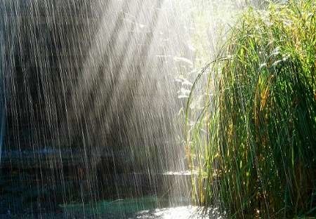 میزان بارش‌ها طی سال زراعی جاری در لرستان به 564 میلی‌متر رسید