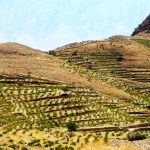 اجرای طرح توسعه باغات در 4 هزار و 40 هکتار از اراضی شیب دار و کم بازده لرستان