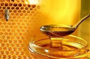 یک‌هزار و ۸۶۹ تُن عسل در لرستان برداشت شد/ تولید ۱۳۸ کیلوگرم ژل رویال