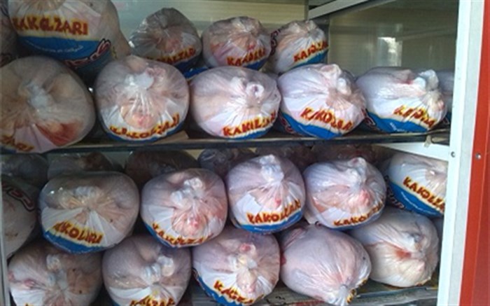 بیش از ۱۰۰ تن مرغ منجمد در بازار لرستان توزیع می شود