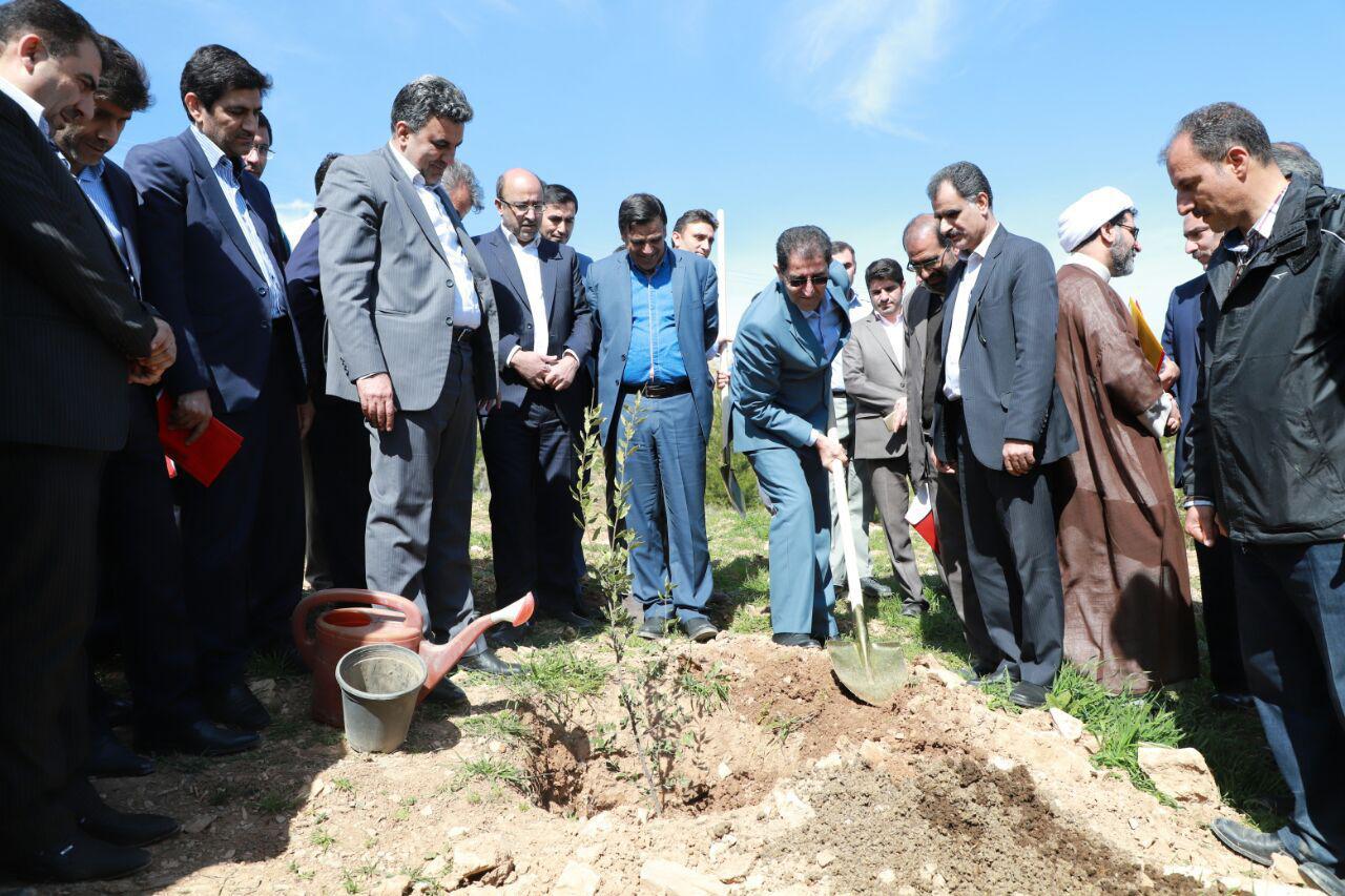مراسم روز درختکاری در بام خرم آباد برگزار شد