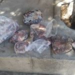 دستگیری متخلف شکار گراز در شهرستان چگنی