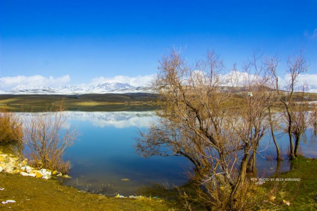 افزایش سطح مناطق شکار و صید ممنوع در استان لرستان