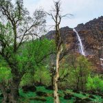 ثبت ملی آبشار برنجه و درختان گردوی کهنسال دره سید