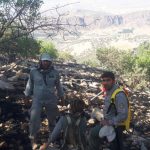عوامل آتش‌سوزی گسترده در منابع ملی چگنی و ازنا شناسایی شدند