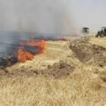 آتش زدن بقایای محصولات کشاورزی ممنوع و جرم محسوب می شود