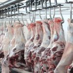 اعطای تسهیلات به تولیدکنندگان مرغ و گوشت لرستان