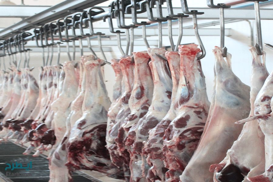 عرضه گوشت گرم در لرستان با ۲۰ درصد زیر قیمت بازار