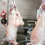 صادرات ۸ هزار و ۵۰۰ تن گوشت قرمز از لرستان به استان‌های دیگر