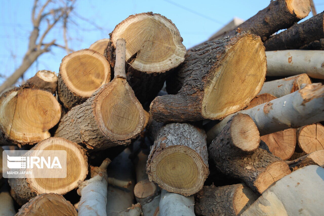 ۵ تن چوب قاچاق در خرم‌آباد کشف شد