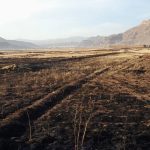 ۱۰۰ هکتار جنگل و مرتع شهرستان چگنی در آتش سوخت
